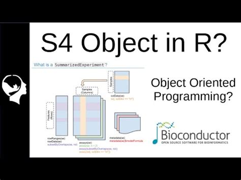 s4 object r.